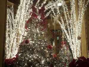 A beautiful display of Christmas trees