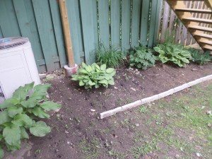 A photo of my little shade garden, spring 2015.