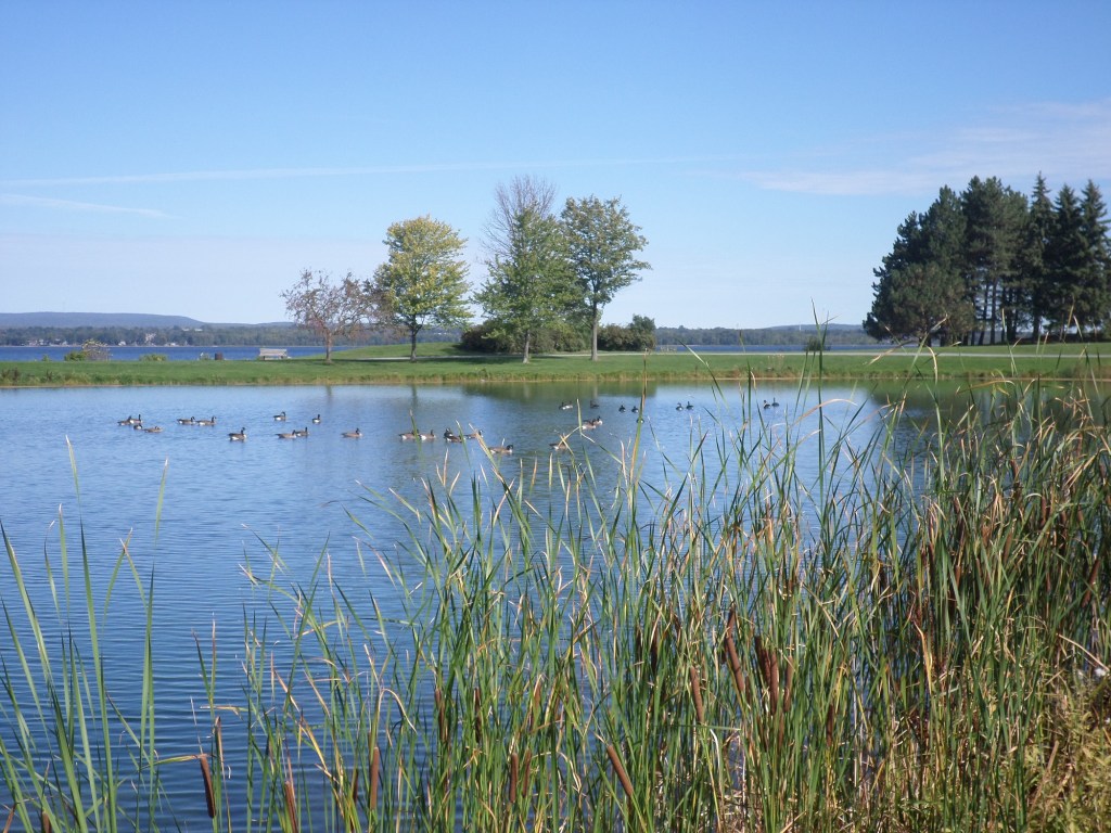 A picturesque view from Andrew Haydon Park, Ottawa, Ontario, Canada, September 2015