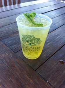 A shot of my first mint julep at Oak Alley Plantation (New Orleans)
