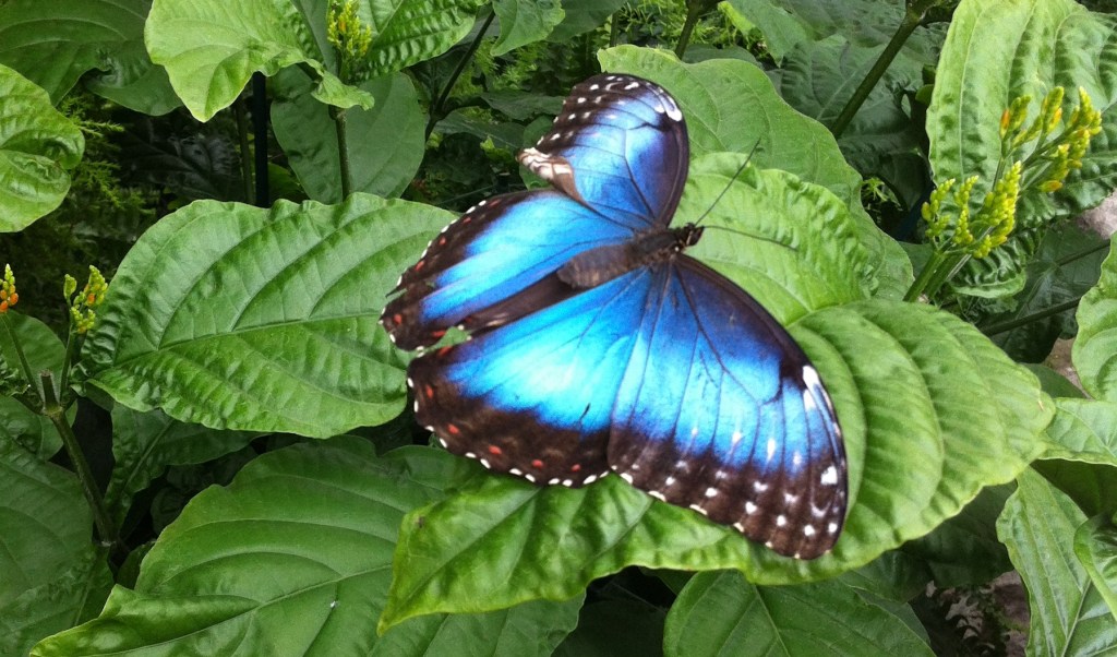 The Fleeting Moments of Nature&nbsp;Photography