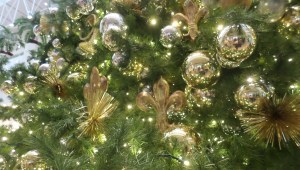 A close up of a green Christmas tree with beautiful gold ornaments.