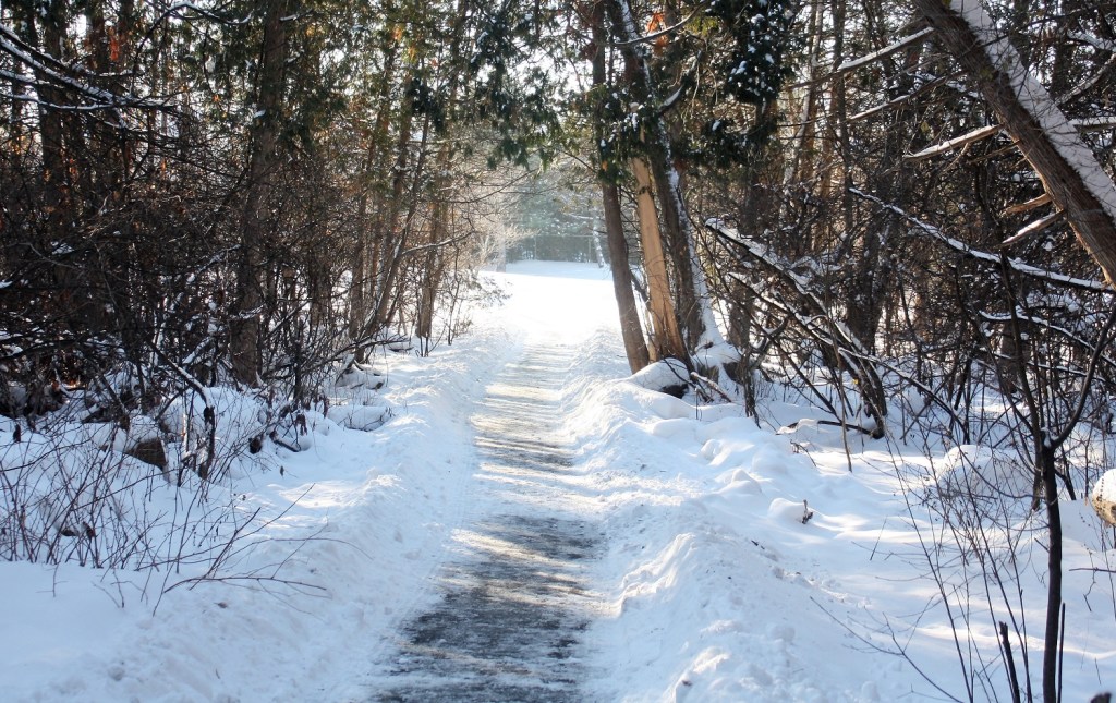 The First Runs of the&nbsp;Season