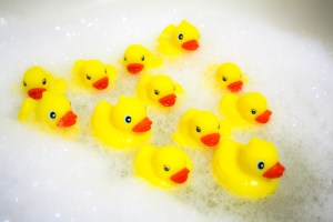 Rubber ducks floating in a bubble bath