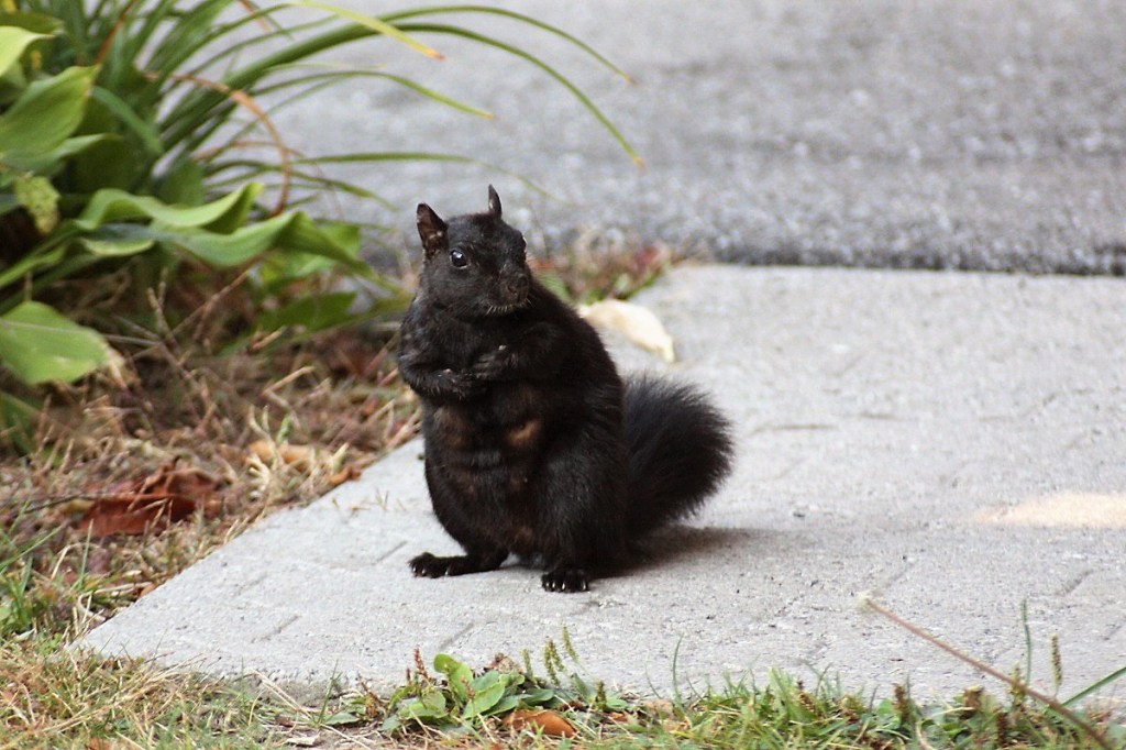 10 Ways I Prepare for a Canadian&nbsp;Winter