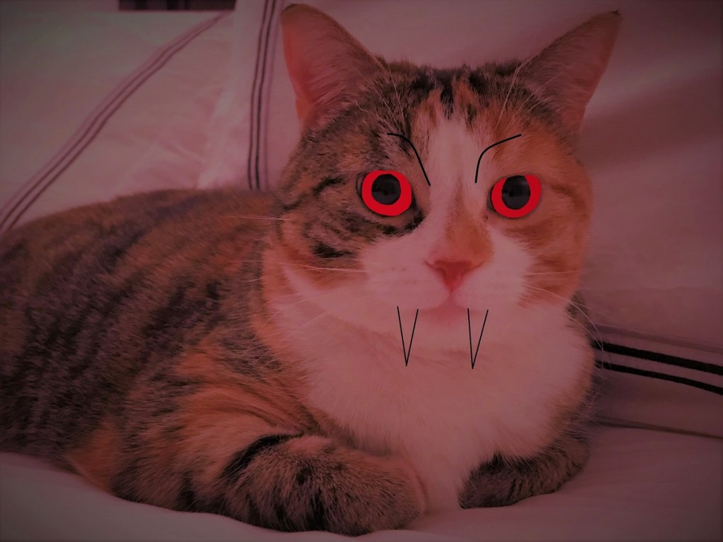 Who Are You and What Have You Done With My&nbsp;Cat?