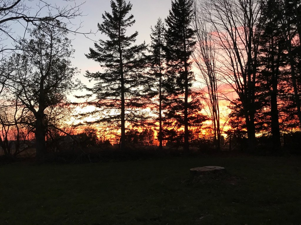 The Move to the Country (Part 3 of&nbsp;8)