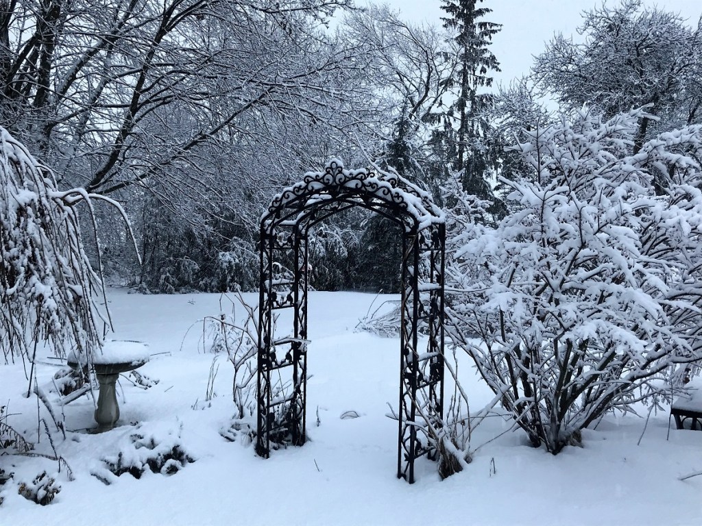 My Changing Perspective Over The First Snowfall of the&nbsp;Season