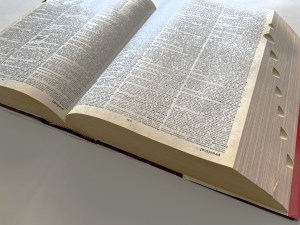 A close-up shot of an open dictionary. 