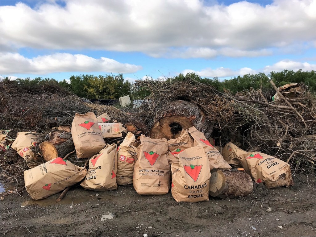 Exciting Field Trips… To The&nbsp;Dump