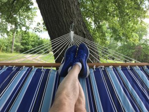 View from a hammock