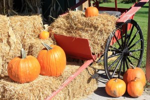 A fall display of pumpkins and hay on a wagon