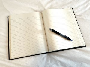 A blank page in a journal with a pen on it, waiting to capture the next great writing idea.