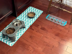 Ivy's feeding station featuring dry food, fresh water, wet food and her ice cube tray of kibble.