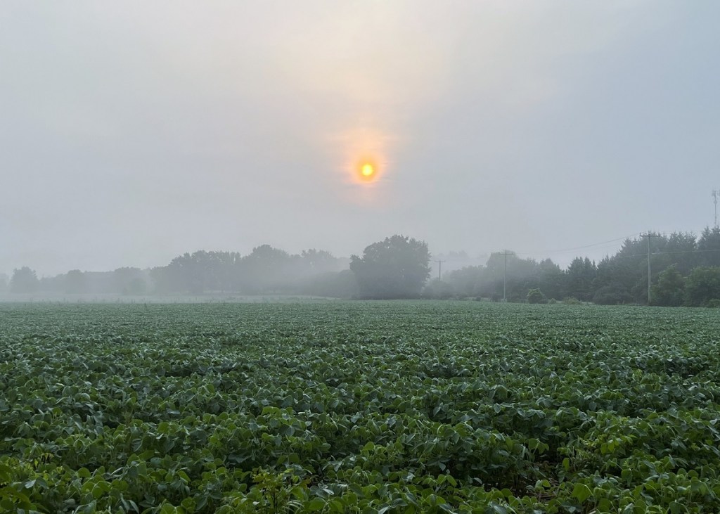 My Foggy Memories of Year&nbsp;2000